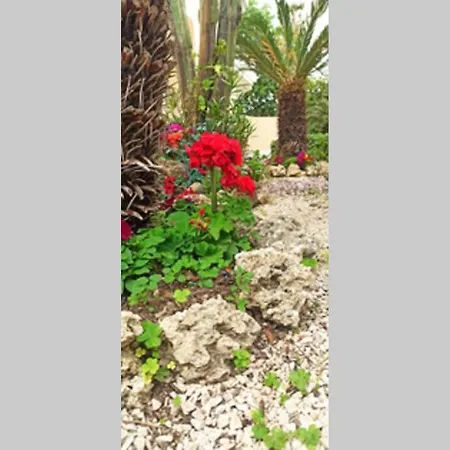 Lejlighed Petunia Garden View Rhodes City